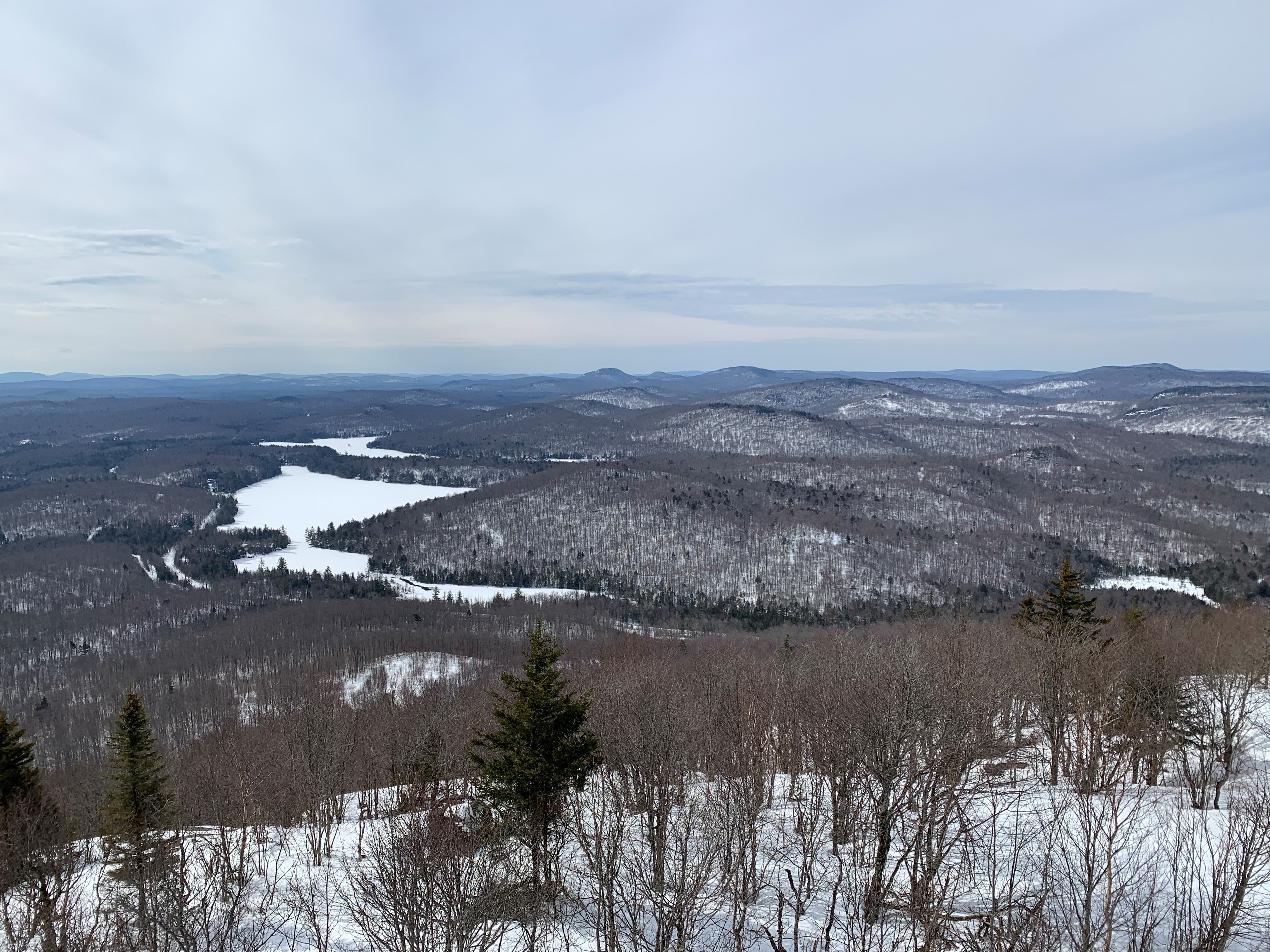 View from Mount Arab fire tower